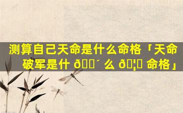测算自己天命是什么命格「天命破军是什 🌴 么 🦅 命格」
